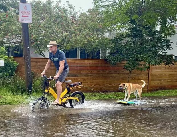 A man on a bike and a dog on a board rolled through the flooded streets of the city