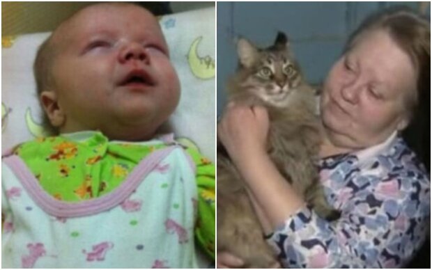 "She wanted to save a child": how a stray cat saved a young life