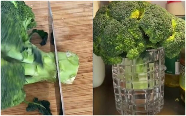 "Keeping fresh": a woman shared the secret to extending the shelf life of vegetables in the refrigerator