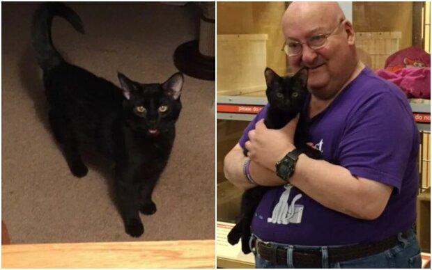 A man adopted a kitten from a shelter: the pet regularly saves his owner's life