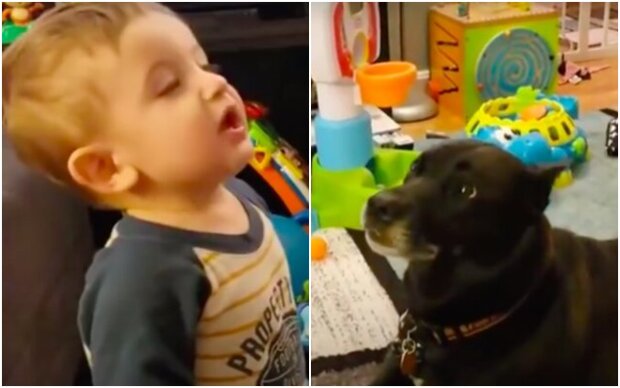 The dog and the child decided to argue, but the mother recorded this dialogue on video: "Who understood who better"