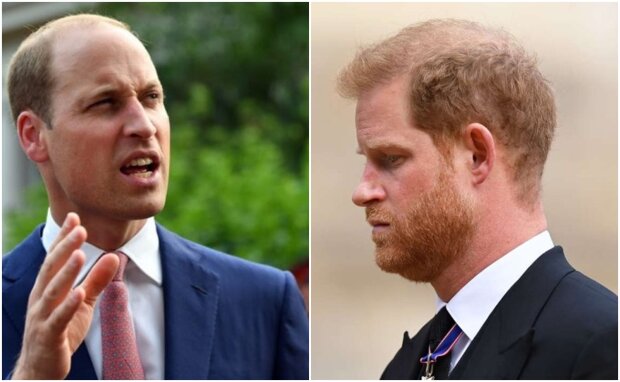 It has been revealed that Harry and William had more than just a disagreement over Meghan Markle