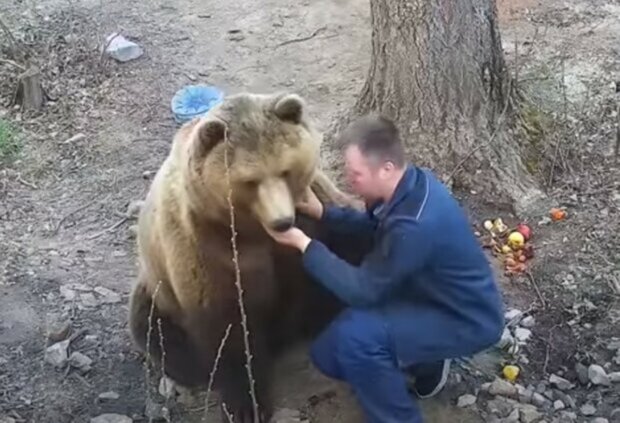 Small and lonely, he came to us: How a bear found five years ago at the airport is living now