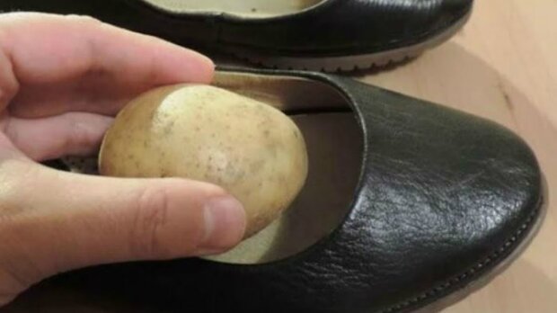 How potatoes can help stretch leather shoes: useful tips