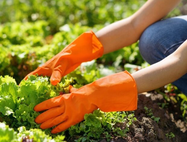 Two simple ways to preserve your manicure during the active gardening season